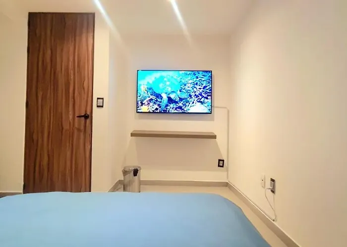 Calida Casa Pet Friendly, Cdmx