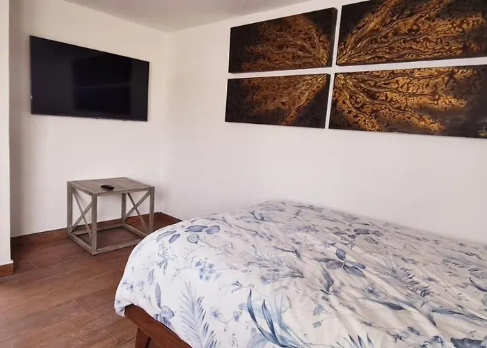 Calida Casa Pet Friendly, Cdmx Apartment