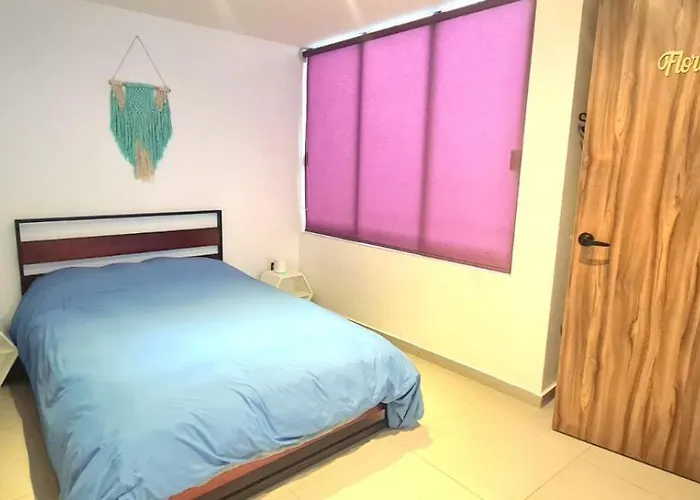 Calida Casa Pet Friendly, Cdmx Apartment
