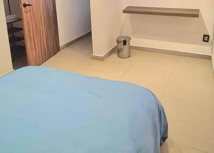Calida Casa Pet Friendly, Cdmx Apartment Mexico City