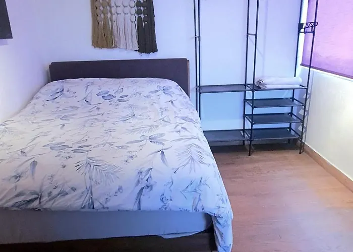 Calida Casa Pet Friendly, Cdmx Apartment