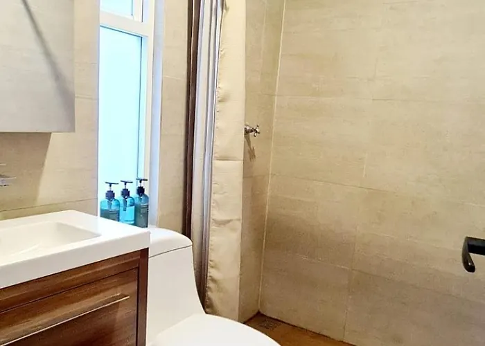 Calida Casa Pet Friendly, Cdmx Apartment Mexico City