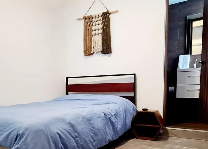 Calida Casa Pet Friendly, Cdmx Apartment