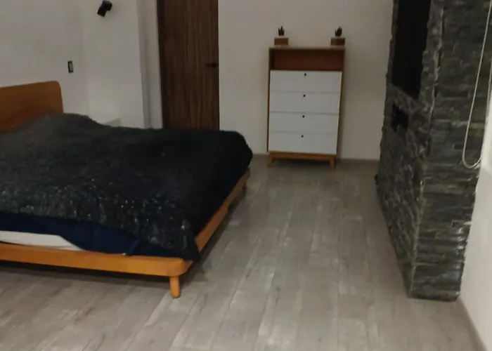 Calida Casa Pet Friendly, Cdmx Apartment