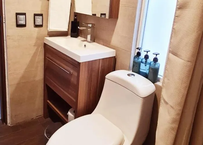 Calida Casa Pet Friendly, Cdmx *